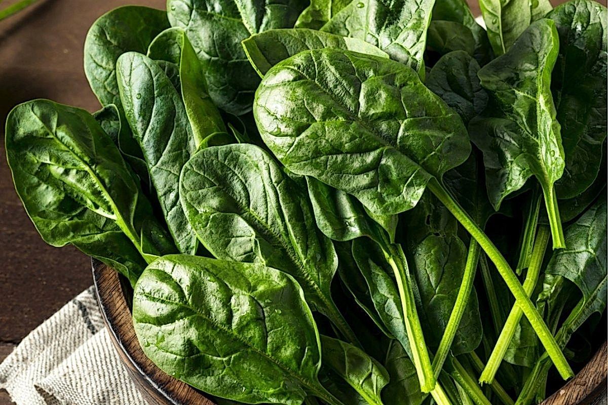 tarlamızdan kışlık sebzelerimizle