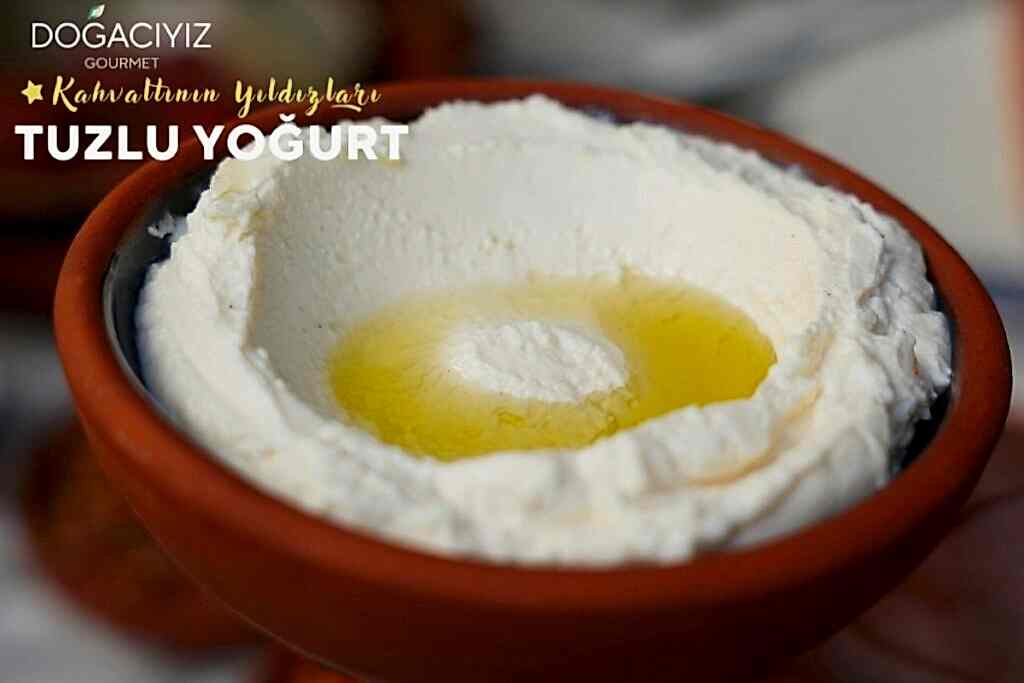 tuzlu yogurt kahvaltinin yildizlari